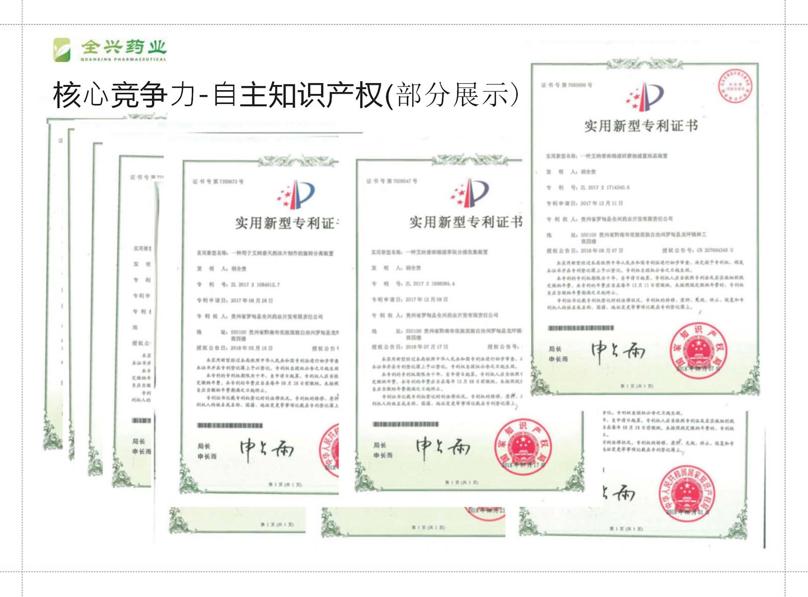 全兴药业艾纳香-10